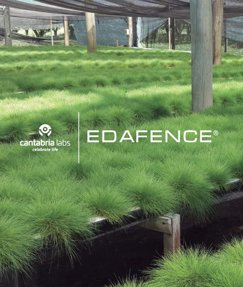 Эффективность anti-age терапии против факторов окружающей среды